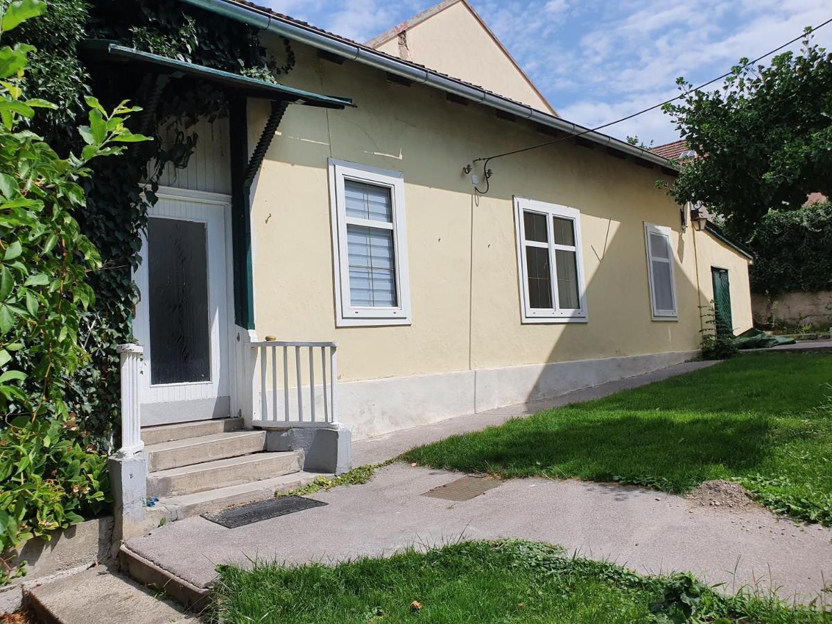 Charmantes Haus Mit Terrasse Und Grossem Garten Langenzersdorf Εξωτερικό φωτογραφία