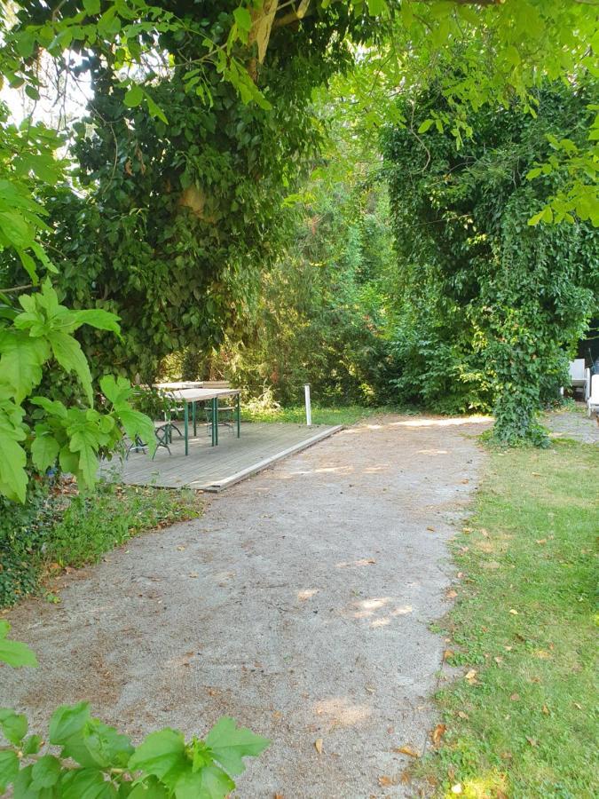 Charmantes Haus Mit Terrasse Und Grossem Garten Langenzersdorf Εξωτερικό φωτογραφία